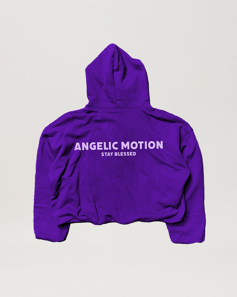 alternate grape 5 hoodie